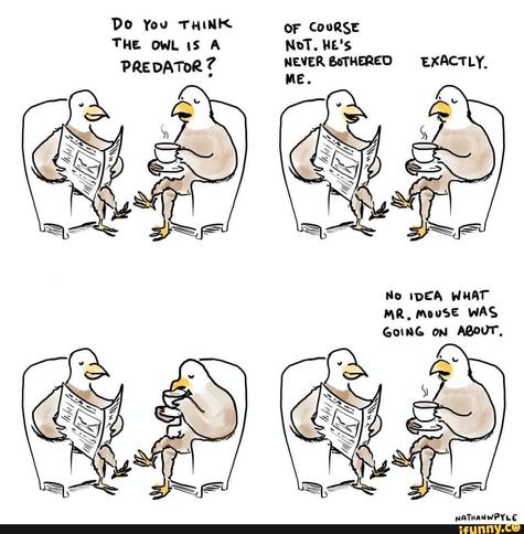 A four-panel comic of two eagles sitting in chairs, reading newspapers and drinking coffee, with text: "DO YOU THINK THE OWL IS A PREDATOR? OF COURSE NOT. HE'S NEVER BOTHERED ME. EXACTLY. NO IDEA WHAT MR. MOUSE WAS GOING ON ABOUT.